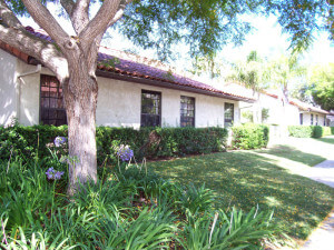 Outside view of a tree and plants outside of the units