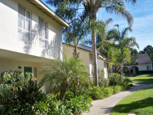 Outside view of the pathway and plants in front of the units