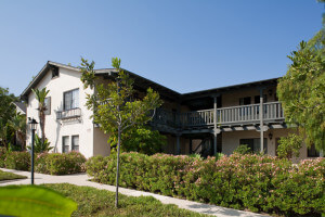 Outside shot of the complex, including trees and plants