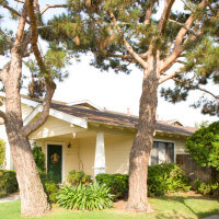 Outside view of a Wilson Cottage and trees in its front lawn