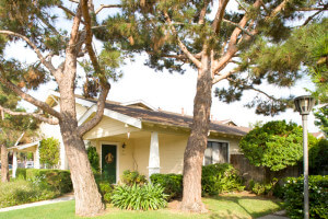 Outside view of a Wilson Cottage and trees in its front lawn