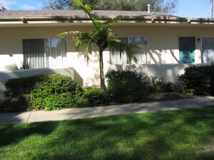 Outside view of grass in front of the units