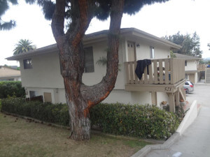 Outside view of the building from behind