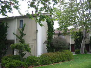 Outside view of the grass and plants in front of the units