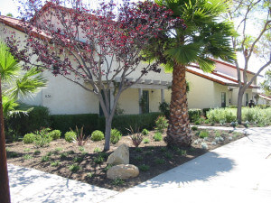 Outside view of trees and plants in front of the units