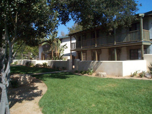 Outside view of the units and grass on the property