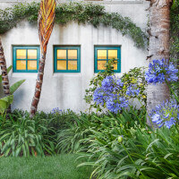 Outside view of grass and plants surrounding the units