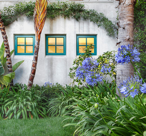 Outside view of grass and plants surrounding the units