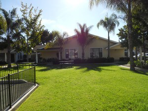 Outside view of a grass area with benches and a Wilson Cottage in the background