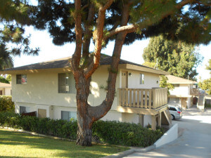 Outside view of the building from behind