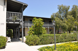 Outside view of the property, including units and plants