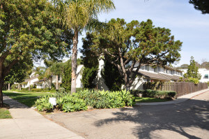 Outside view of the trees and plants in front of the property