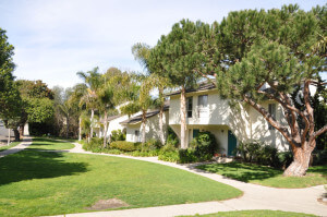 Outside view of the grass and pathway in front of the units