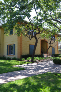 Outside view of the building and foliage