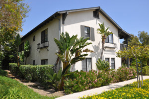 Outside shot of the building surrounded by trees and plants