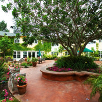 Outside view of the courtyard with multiple plants, benches, and a large tree in the center