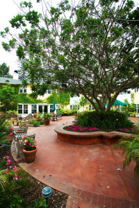 Outside view of the courtyard with multiple plants, benches, and a large tree in the center