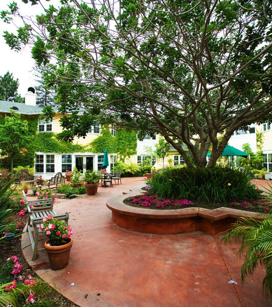 Outside view of the courtyard with multiple plants, benches, and a large tree in the center