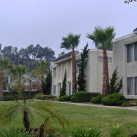Outside view of the grass patch and the units