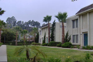 Outside view of the grass patch and the units