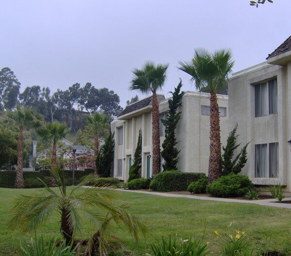 Outside view of the grass patch and the units