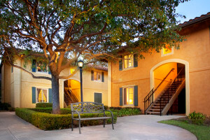 Outside view of the buildings and a large tree