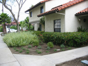 Outside view of plants in front of multiple units