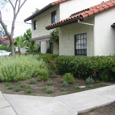 Outside view of plants in front of multiple units