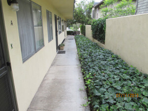 Outside view of the pathway in front of units