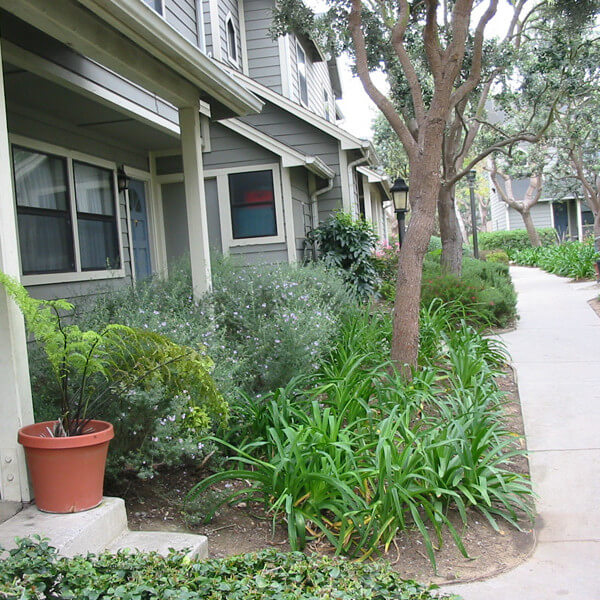 Outside view of the pathway in front of the units