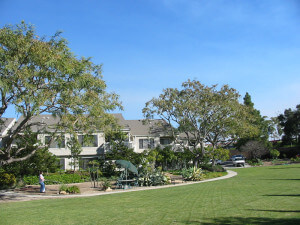 Outside view of the grass on the property