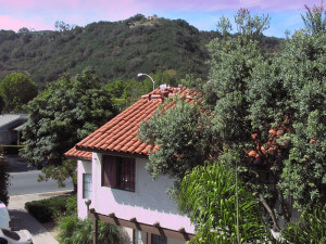 High-angle view of the building