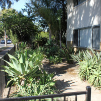 Outside view of the plants on the property