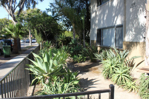 Outside view of the plants on the property