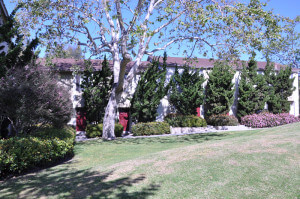 Outside shot of the grass and trees in front of the units