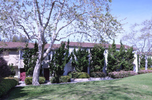 Outside shot of the grass and trees in front of the units