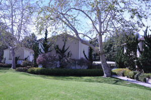 Outside shot of the grass and plants in front of the units