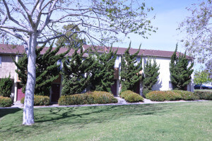 Outside shot of the trees and grass in front of the units