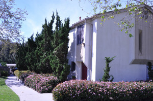 Outside shot of trees and bushes in front of the units