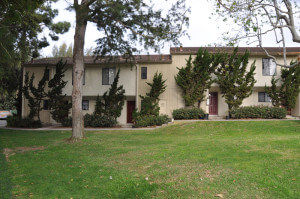 Outside shot of the grass and trees in front of the units