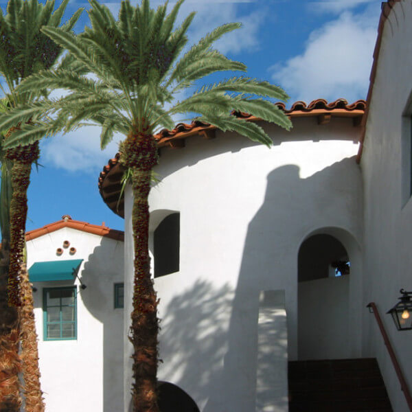 Outside shot of the building and two palm trees