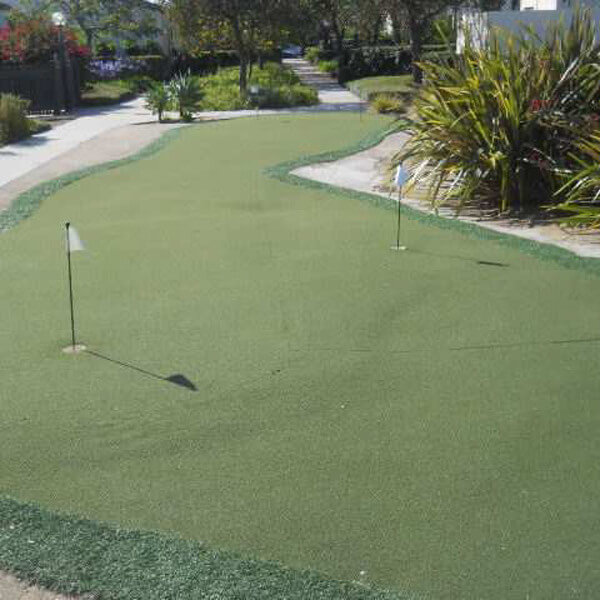 A small golf green with two holes