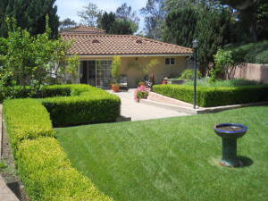 Outside view of grass yard