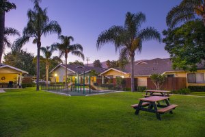 view of outside of building with palm trees