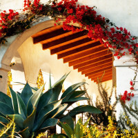 Outside view of an entryway surrounded by plants