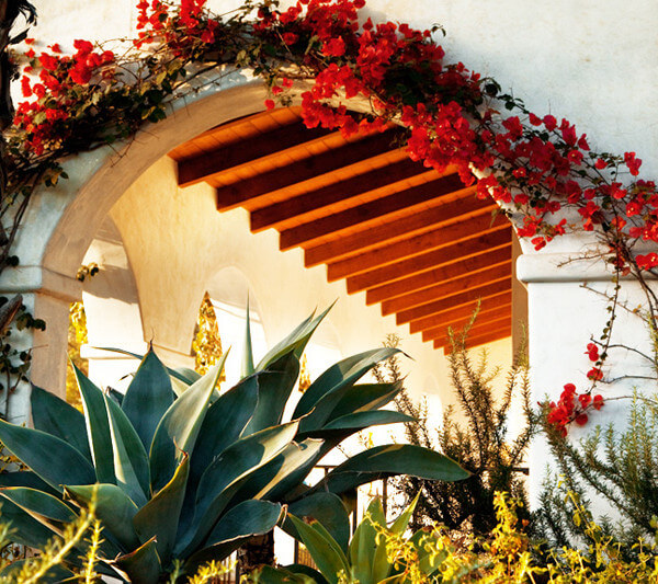 Outside view of an entryway surrounded by plants