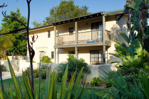 Outside view of the units and plants