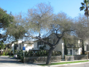 Street view of the property