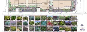 Proposed landscape design